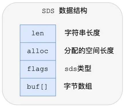 image-20230905225948684